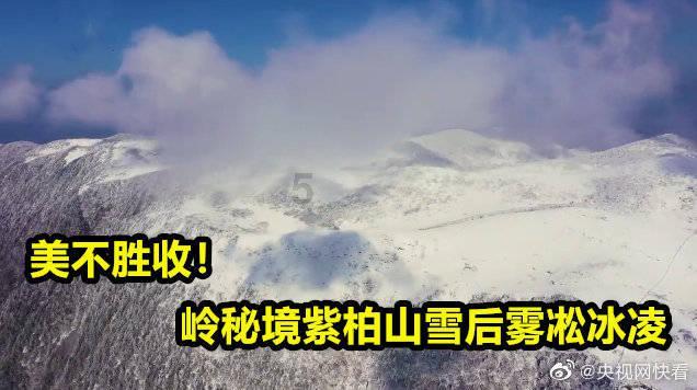 射击怪异人